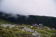 DSC1248